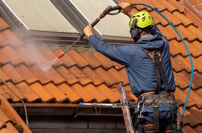 Démoussage et hydrofuge de toiture à Limendous